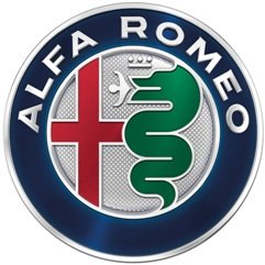 1965 Alfa Romeo Giulia Spider