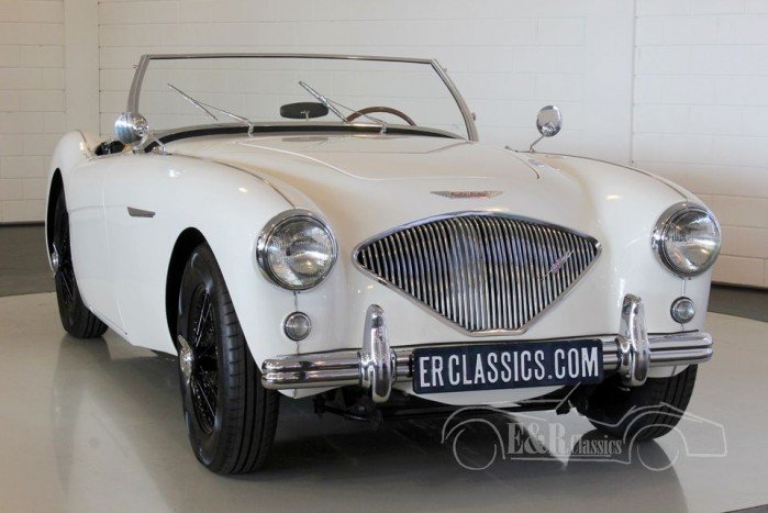 Austin-Healey 100-4 Overdrive 1955  for sale