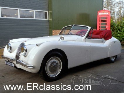 Jaguar 1954 na prodej