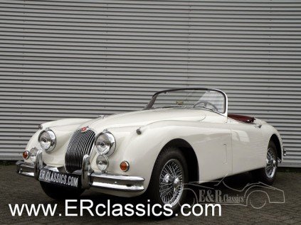 Jaguar 販売1960