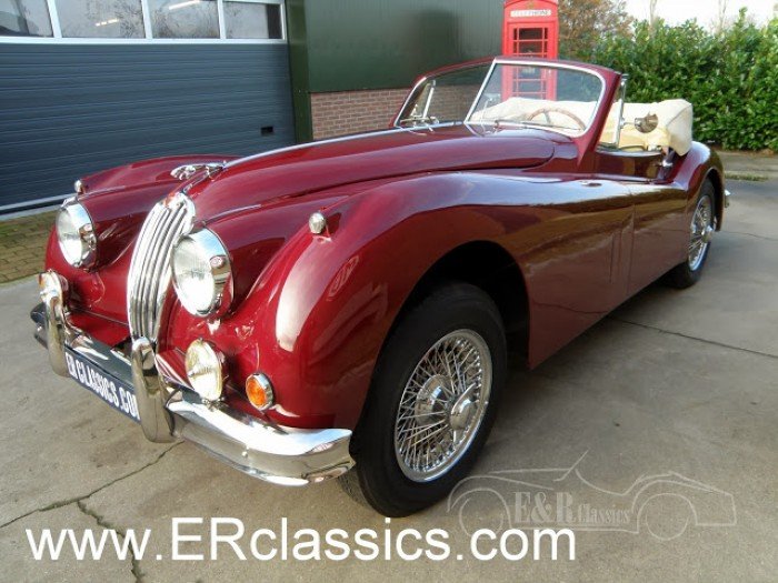 Jaguar 1954 kaufen
