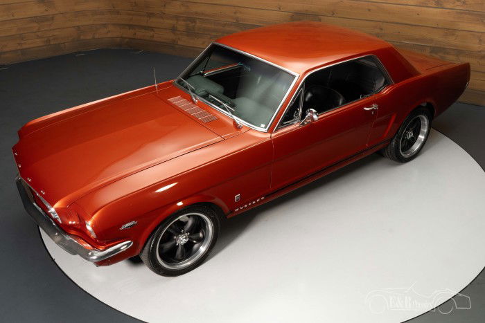 Ford Mustang Coupe  kaufen